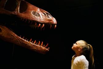 A Study Reveals Dinosaurs Influenced Human's Lifespans!