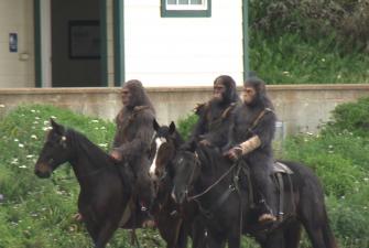Actors Dressed As Apes and Rode Horses to Promote "KIngdom of the Planet of the Apes"