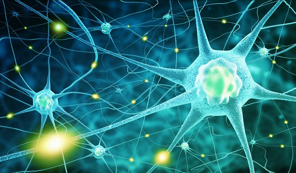 New Tool Found Can Help Understand More on Parkinson's Disease