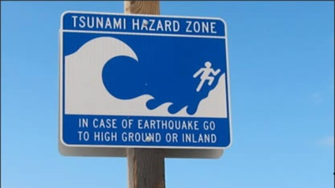 The Cause of the Mysterious Tsunami 